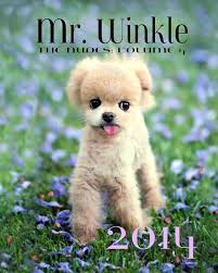 Calendario MR WINKLE Nudes 2014: Arte y Estilo en tu Espacio